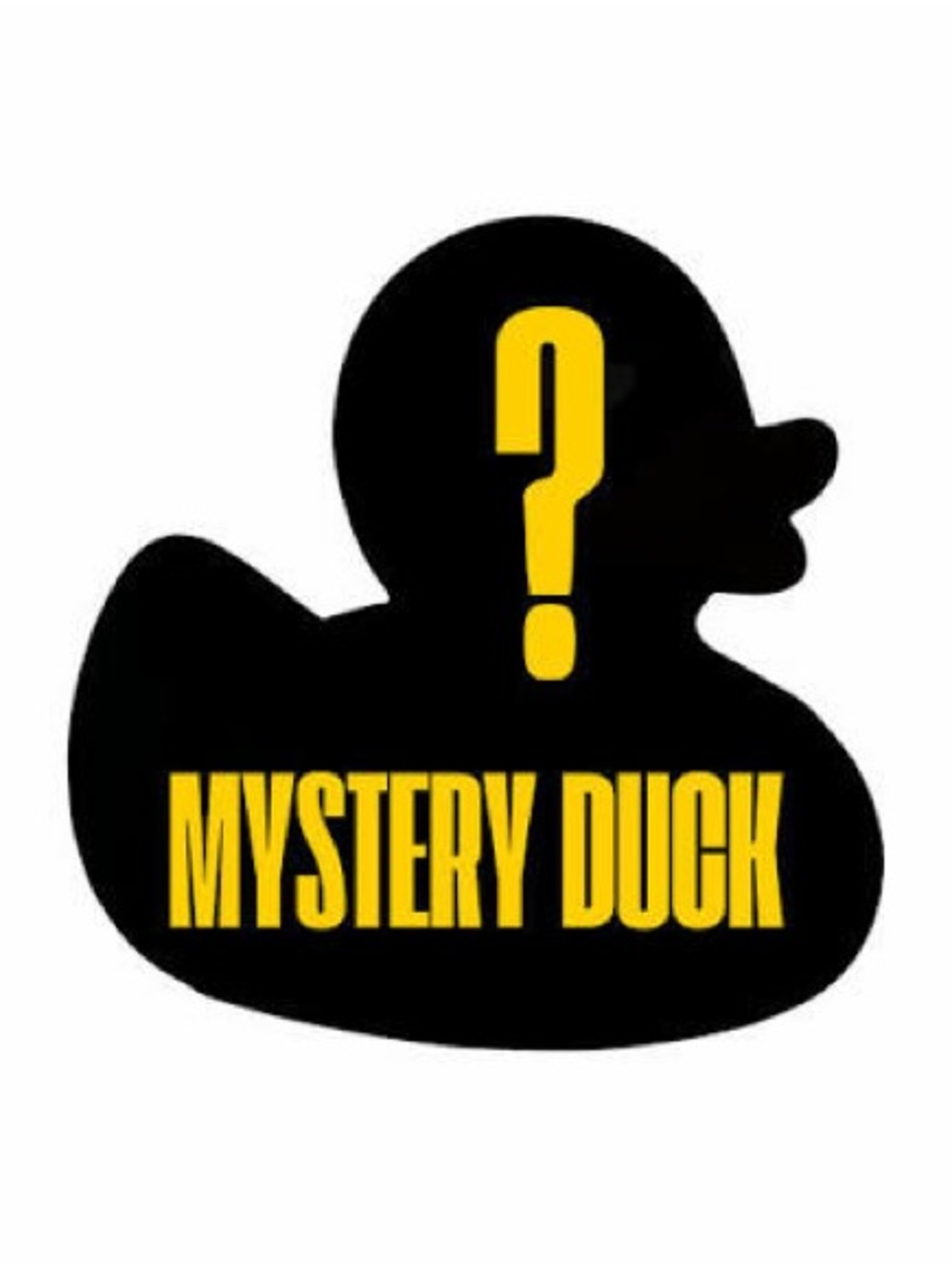 $10 Crystal Mystery Ducks!